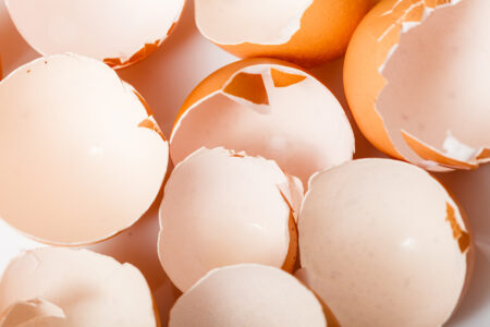 8 Household Uses for Eggshells Image